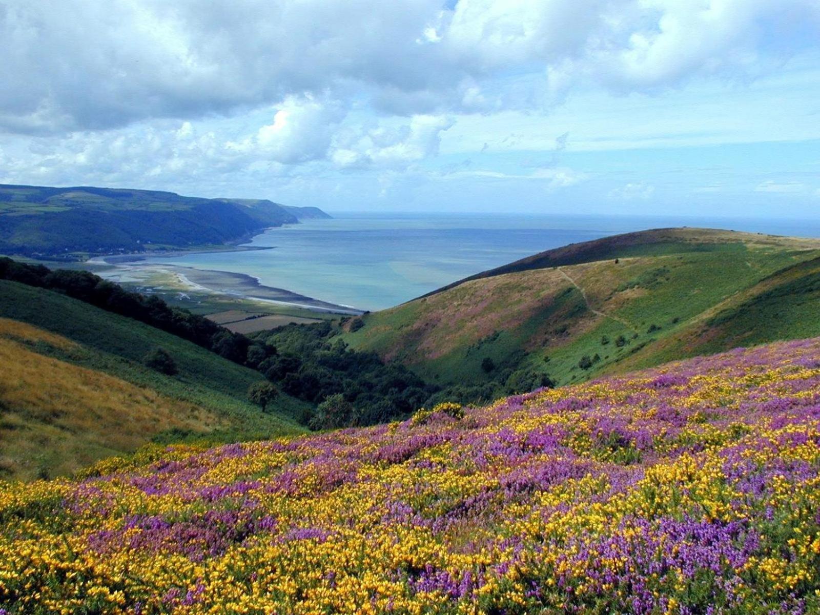 Exmoor Bnb In Withypool On Two Moors Way Εξωτερικό φωτογραφία