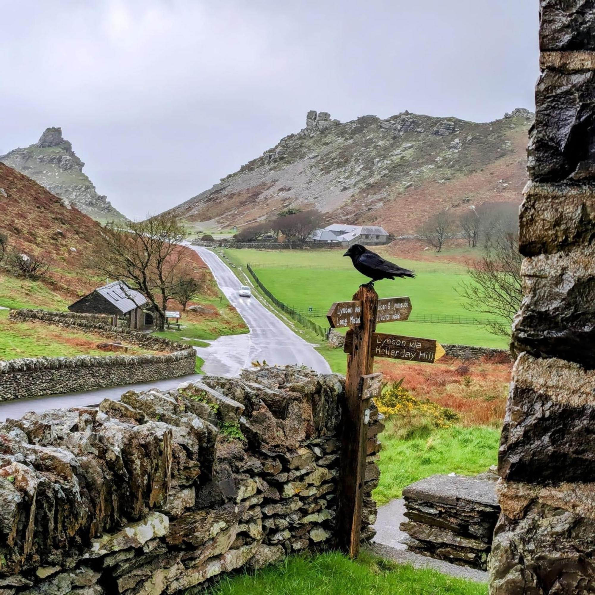 Exmoor Bnb In Withypool On Two Moors Way Εξωτερικό φωτογραφία